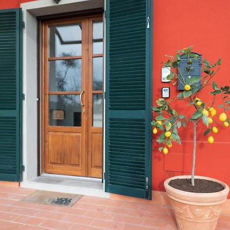 Lemon Garden House Daire San Miniato Basso Dış mekan fotoğraf